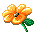 Сxh.gif (9114 bytes)